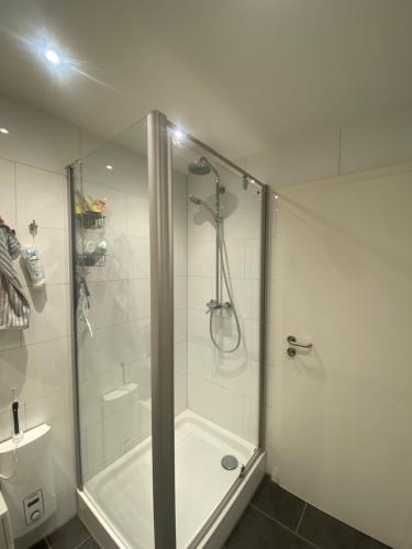 a bathroom with a shower with a glass door at Central Private Room Near Messe (Fair) in Frankfurt