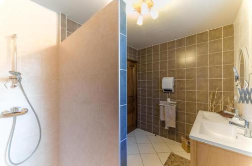uma casa de banho com um chuveiro e um lavatório. em Le gite de la tour em Bressieux