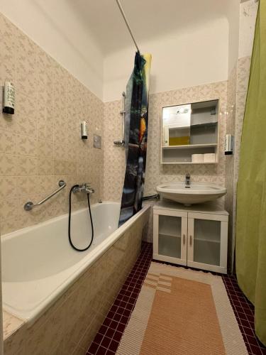 uma casa de banho com uma banheira, um lavatório e um chuveiro em Schöne angenehme Wohnung em Viena
