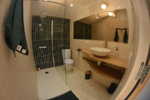 a bathroom with a sink and a toilet and a mirror at Le Grenier Du Botaniste in Mauléon
