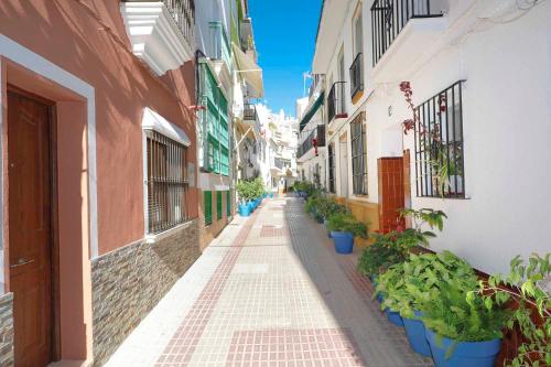 a narrow alley with potted plants on the sides of buildings at Apartamento San Cristobal in Marbella