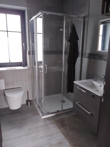 a bathroom with a shower and a toilet and a sink at Auszeit-Räumlichkeiten in Dietfurt