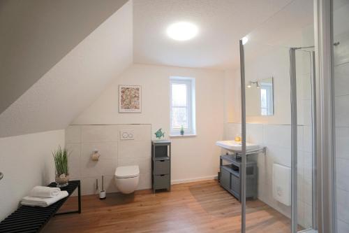 ein Bad mit einer Dusche, einem WC und einem Waschbecken in der Unterkunft Apartement Dom-Blick in Schleswig