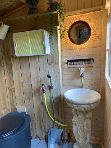 une salle de bain avec toilettes, lavabo et miroir dans l'établissement Natuurhuisje - 'Gites de la Vie' - Hondvriendelijk - Normandië, à Torchamp