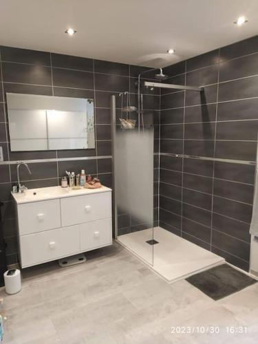 une salle de bain avec une douche, un lavabo et un miroir dans l'établissement Grande et belle maison normande, à Martragny