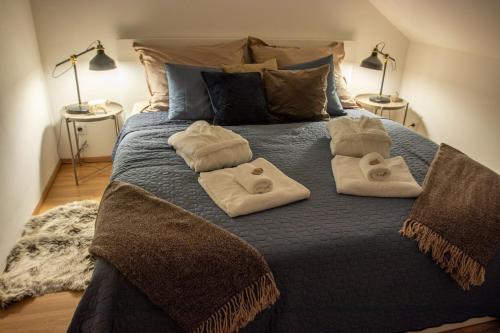 una camera da letto con un letto e asciugamani di Pod Vojtěchem - soukromý wellness apartmán a Wotitz