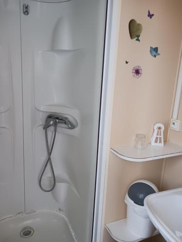 La petite salle de bains est pourvue d'une douche et d'un lavabo. dans l'établissement Mobil home L42, à Le Portel