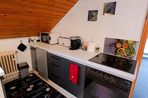 - une cuisine avec un comptoir et une cuisinière four supérieur dans l'établissement Transylvanian Hideaway Apartment, à Sibiu