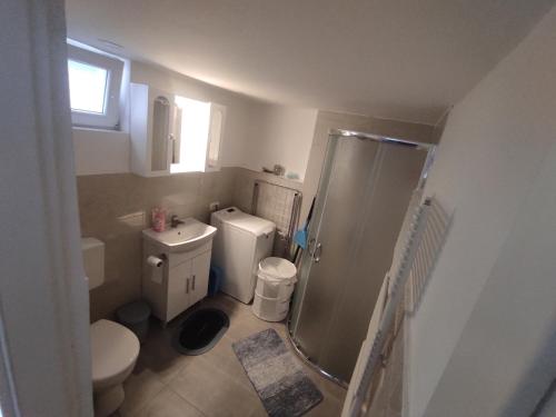 La petite salle de bains est pourvue d'une douche et de toilettes. dans l'établissement APARTMA ZADNIKAR, à Preddvor