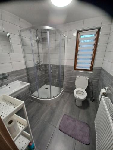 a bathroom with a shower and a toilet and a sink at Domek na Mazurach -Pieczarki in Pozezdrze