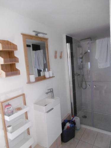 La salle de bains blanche est pourvue d'un lavabo et d'une douche. dans l'établissement Ferienbungalow Am Birkenwäldchen, à Kolonie Röntgental