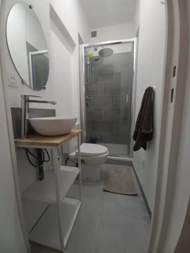 uma casa de banho com um WC, um lavatório e um espelho. em Le 29 cuty, wifi, à 3min de la gare sncf em Agen