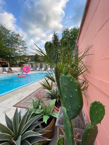 a group of plants sitting next to a swimming pool at BOHO HOUSE in Ustrzyki Dolne