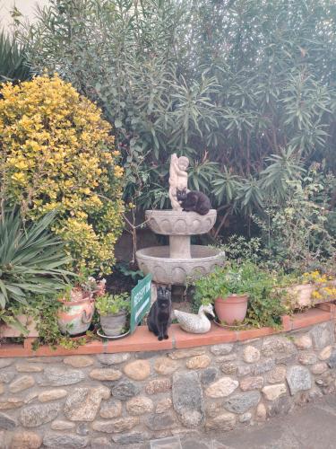 a statue of two cats sitting next to a fountain at Hébergements à La Rive, Accueil ouvert tous les jours jusqu'à 20h00 dernier délai, depuis 30 ans ! Réserver ici svp ! Merci ! Aucun règlement à distance accepté, Paiement par CB, Espèces, Chèque ou Chèques-Vacances impérativement à la remise des clefs ! in Amélie-les-Bains-Palalda