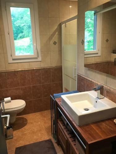 une salle de bain avec un lavabo, des toilettes et un miroir dans l'établissement Paris’s, à Balaguères
