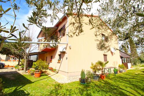 Apartment Cocaletto 2313