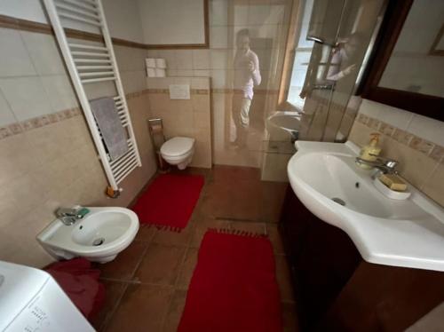 a bathroom with a sink and a toilet and a mirror at Traditional Slovenian house in Vransko