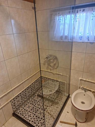 a bathroom with a shower with a toilet at Chalet Hill Zabljak in Žabljak