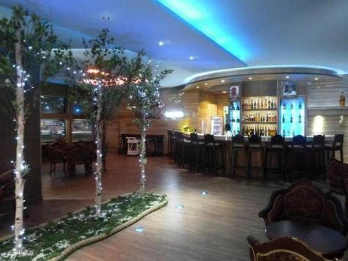 bar z drzewami w środku pokoju w obiekcie Imo Concorde Hotel w Owerri