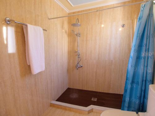 MánganosにあるVilla Mandolaのバスルーム(青いシャワーカーテン付きのシャワー付)