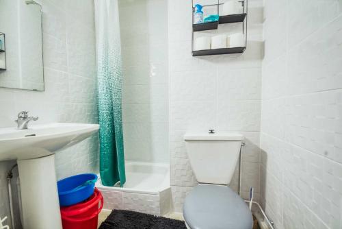 a white bathroom with a toilet and a sink at Mon petit nid à Amélie in Amélie-les-Bains-Palalda