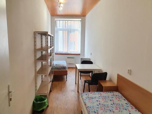 Cette chambre comprend un lit, une table et une étagère. dans l'établissement Ubytovna Moravan Brno, à Brno