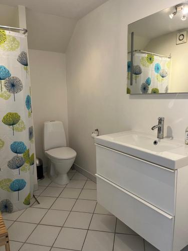 W łazience znajduje się umywalka, toaleta i lustro. w obiekcie Kerteminde-ferielejlighed w mieście Kerteminde