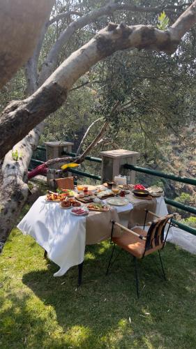 Vườn quanh Kazdağı Atila Bey Konağı