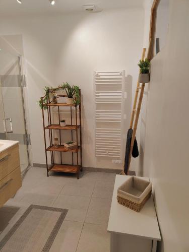 une cuisine avec un comptoir et une étagère avec des plantes dans l'établissement Appartement SÈTE LA CORNICHE - 4 PERSONNES, à Sète