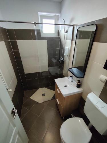 a bathroom with a toilet and a sink and a shower at Fanea Residence in Timişoara