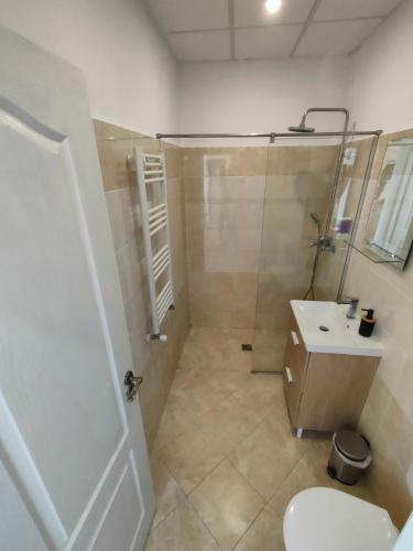 a bathroom with a shower and a sink and a toilet at Fanea Residence in Timişoara