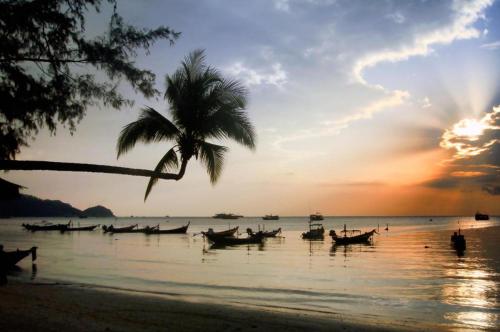 a group of boats on the beach with a palm tree at Tao Island Boutique Hotel in Ko Tao