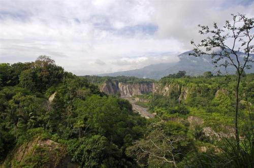a view of a canyon with trees and mountains at Pakoan Indah Hotel Bukittinggi in Gadut