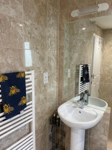 een badkamer met een wastafel en een spiegel bij BumbleBee Lodge in Saint Cleer