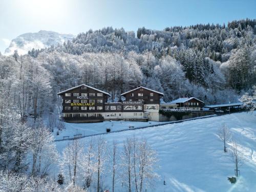Hotel Restaurant Bänklialp photo 3