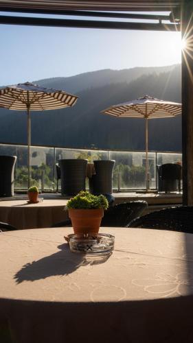 a table with a potted plant on top of it at Landhotel Berger in Eben im Pongau