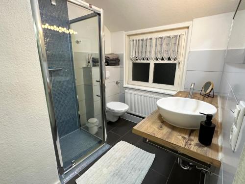 a bathroom with a sink and a shower and a toilet at Kalkberg Ferienwohnungen in Bad Segeberg