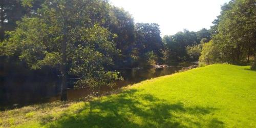a grassy hill next to a river with trees at Campsie Glen Holiday Park in Glasgow