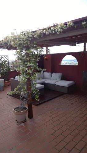 a small tree in a pot sitting on a patio at Il Tramonto su Tivoli in Tivoli