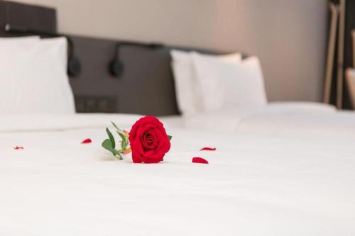西寧的住宿－Hanting Premium Hotel Xining Tangdao Wanda Plaza，床上坐着红玫瑰