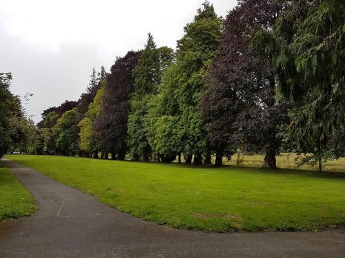 a park with green grass and trees and a path at Bronwye in Builth Wells
