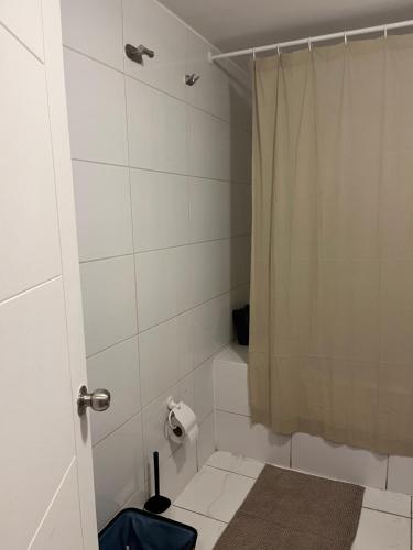 a small bathroom with a shower and a toilet at NR apart in Santiago