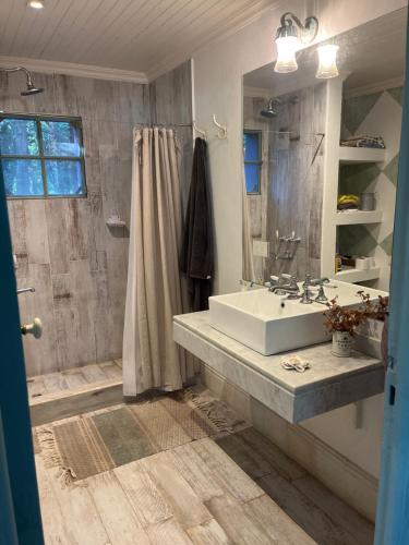 a bathroom with a sink and a shower at Capilla-Casa de campo in Capilla del Señor