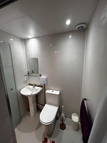 a small bathroom with a toilet and a sink at The Barn Yr Ysgubor in Llandysul