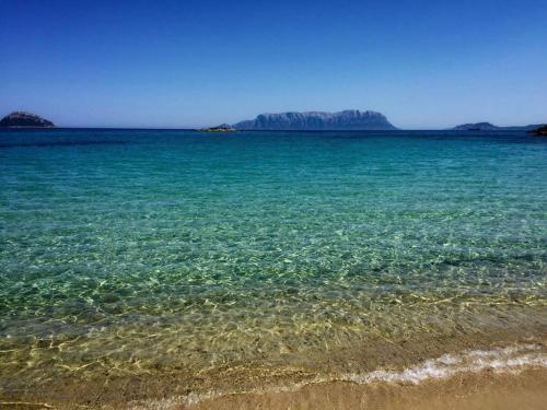 a large body of water with a sandy beach at Hotel Stefania Boutique Hotel by the Beach in Olbia