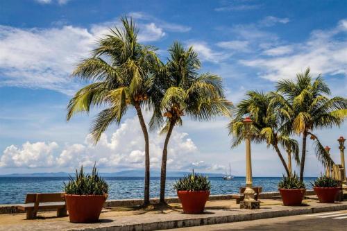 Asia Novo Boutique Hotel-Dumaguete في دوماغيتي: صف من أشجار النخيل أمام المحيط