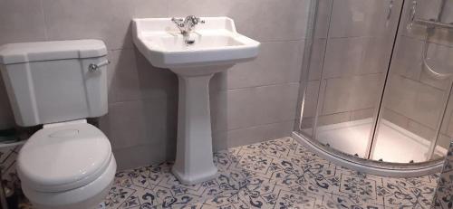 a bathroom with a toilet and a sink and a shower at The Conigre in Melksham