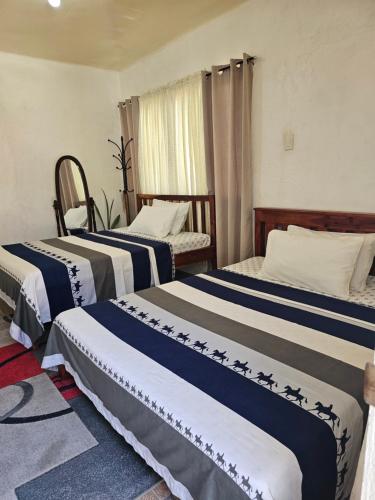 Daanbantayan的住宿－D & N LODGE，酒店客房设有三张床和窗户。