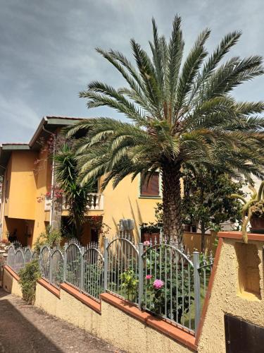 uma palmeira atrás de uma cerca em frente a uma casa em Valentina's garden house em Triei