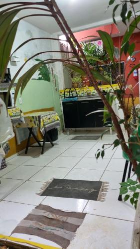 a view of a room with a counter and plants at Pousada da Didi in Belém
